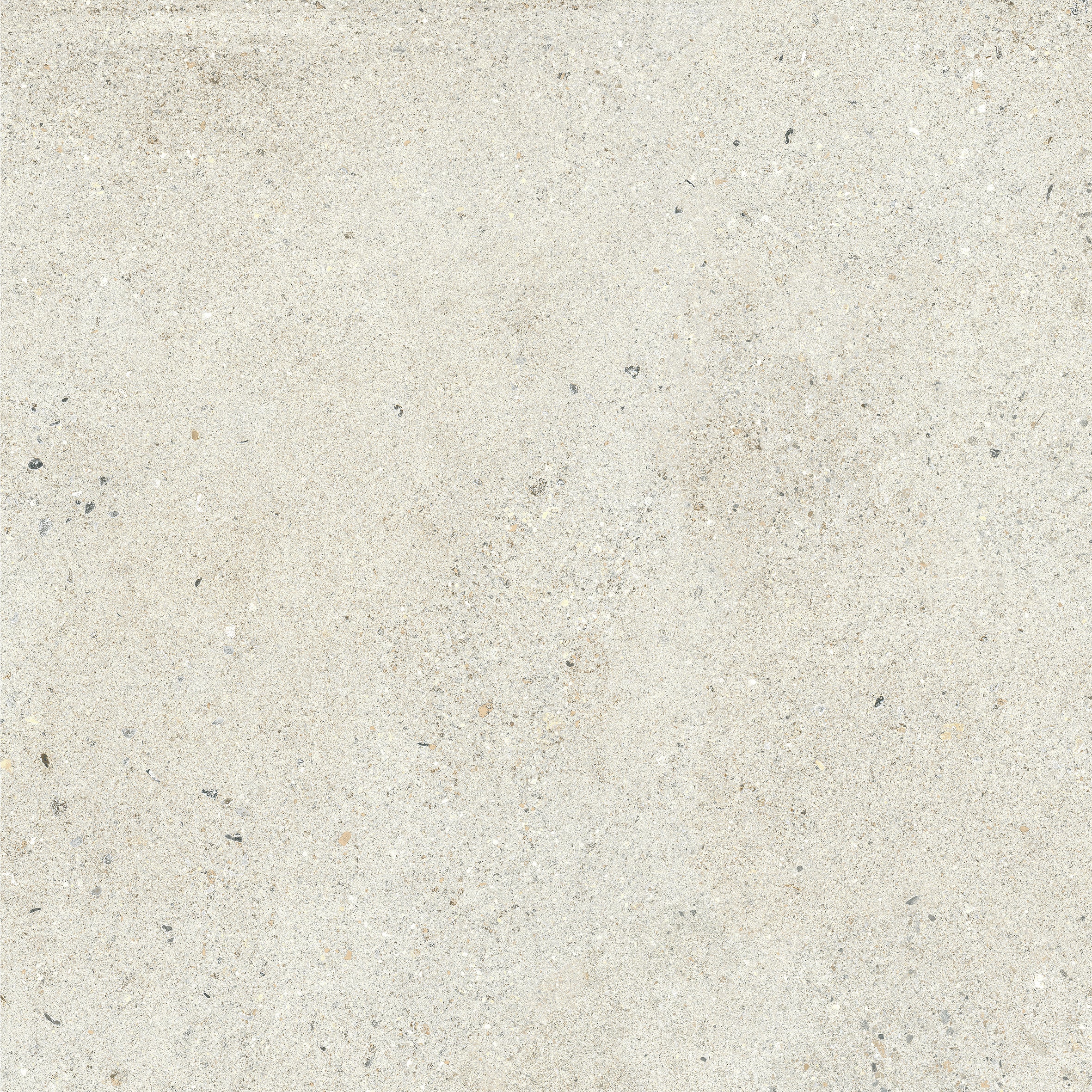 24"x24" Octavia Bone 20MM R11 Rectified