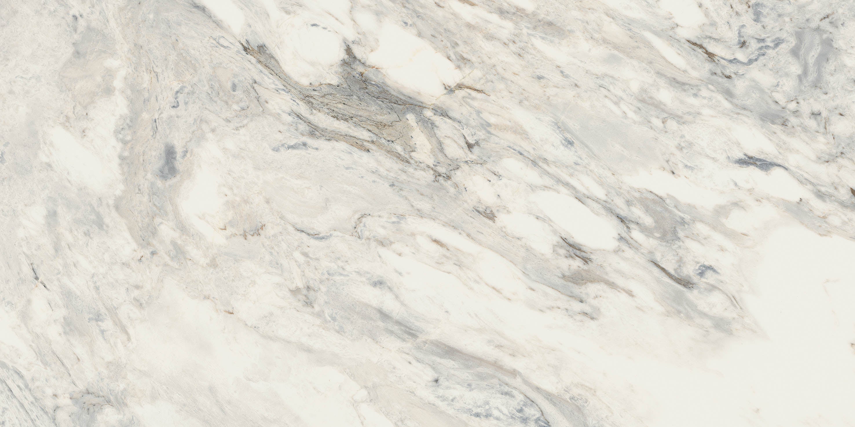 24"x48" Flora Rectified Polished Nano