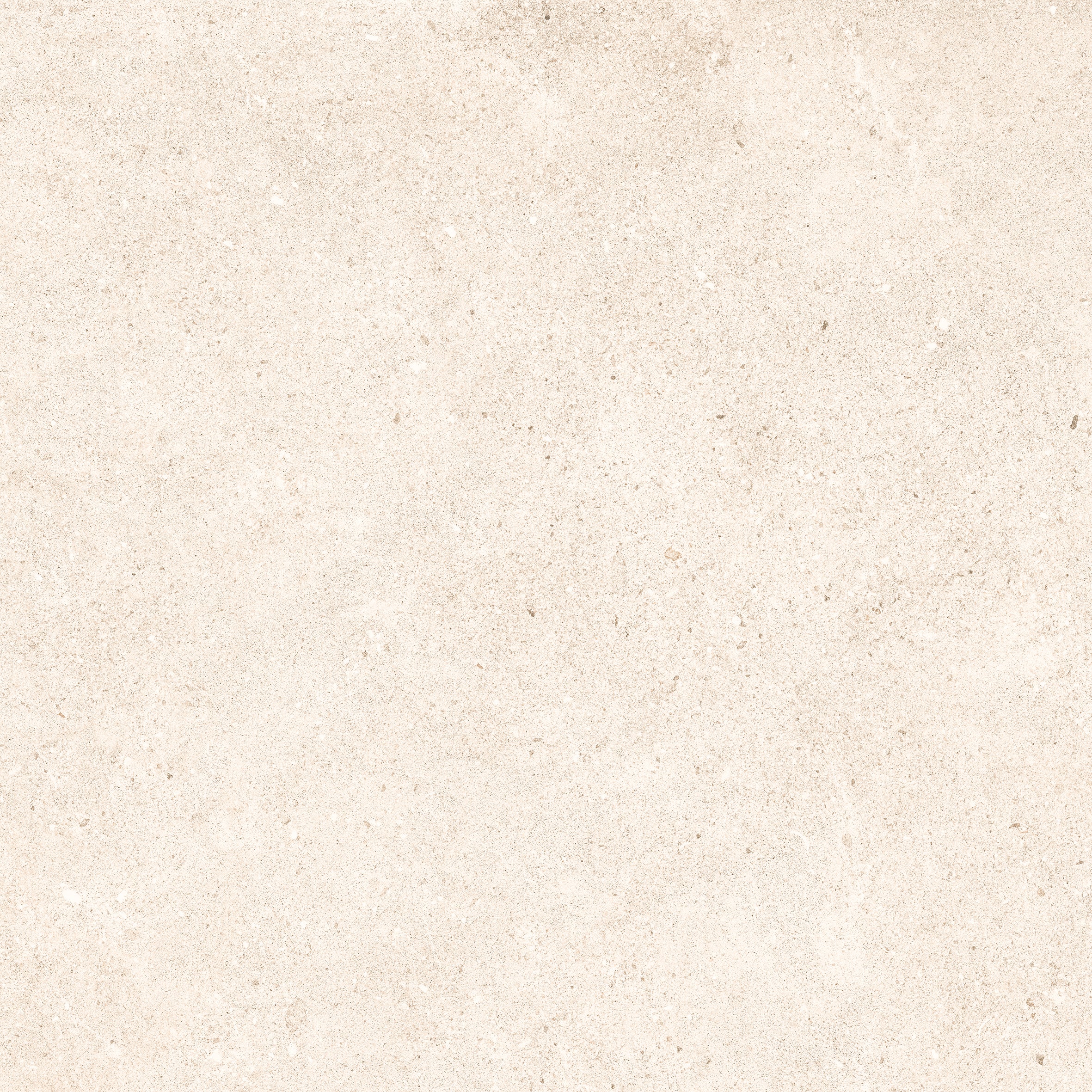 24"x48" Padova Bone 20MM R11 Rectified