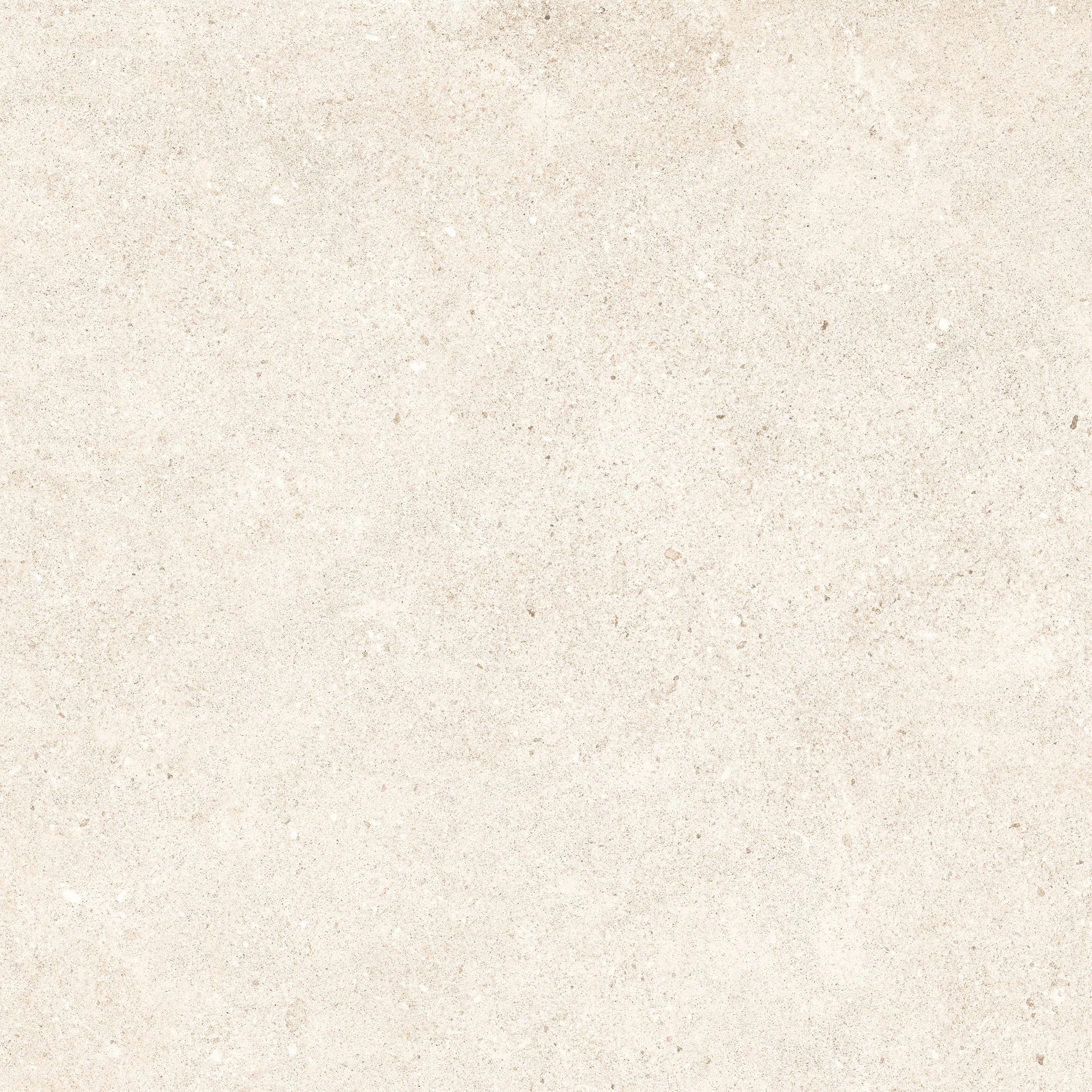 24"x48" Padova Bone 20MM R11 Rectified