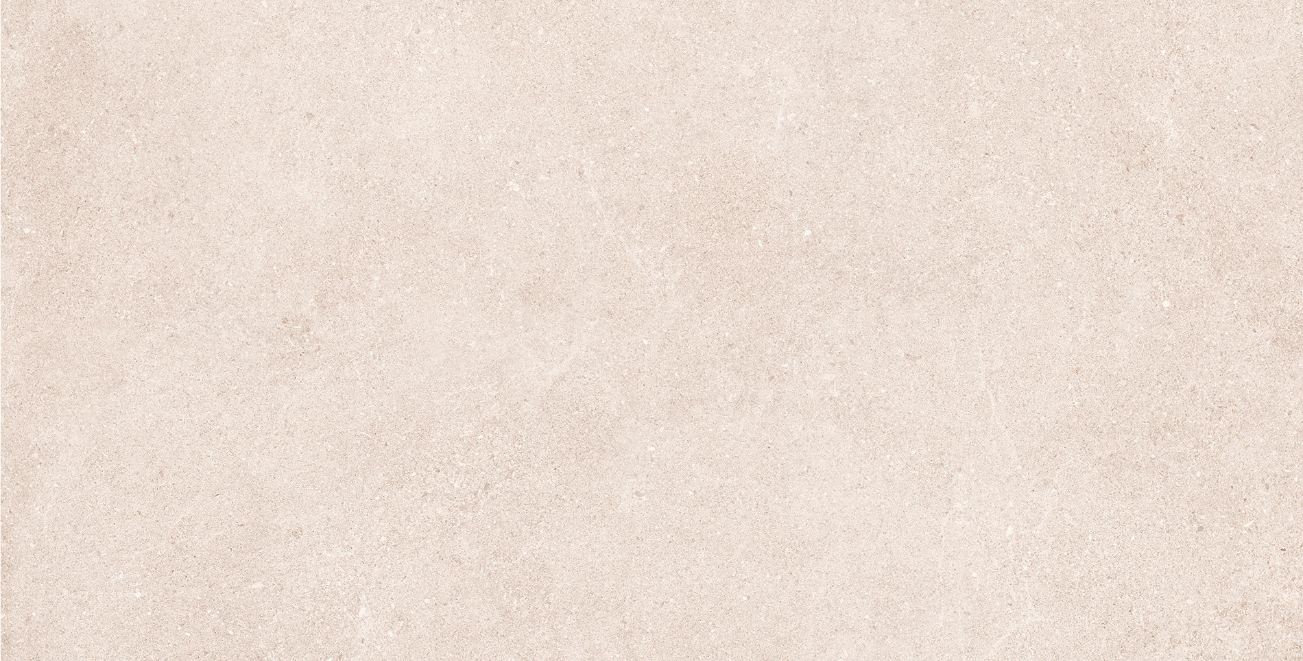 24"x48" Padova Bone Rectified