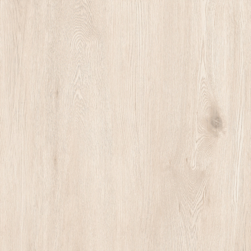 24"x24" Sakura Ivory 20MM R11 Rectified