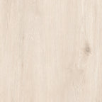 24"x24" Sakura Ivory 20MM R11 Rectified