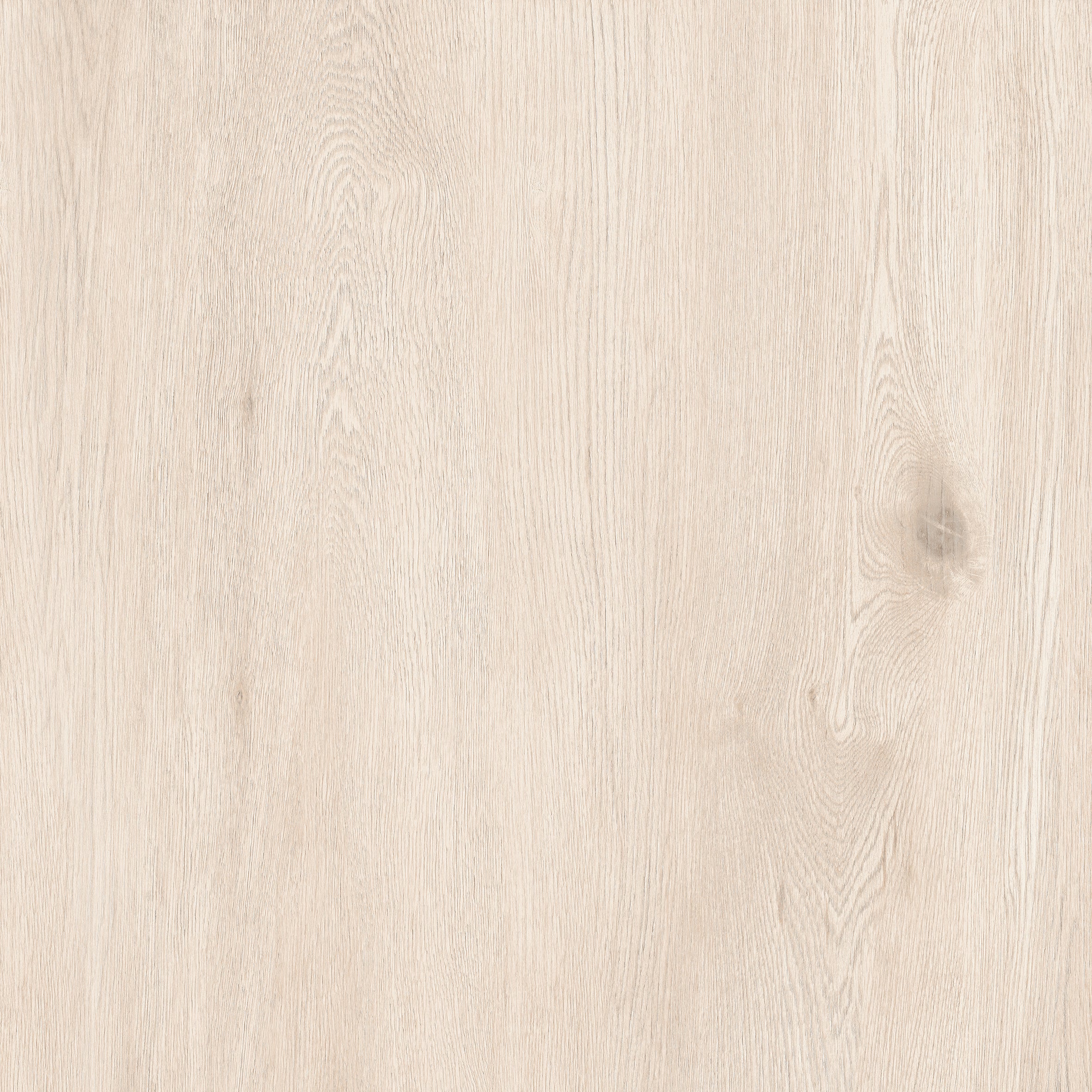 24"x24" Sakura Ivory 20MM R11 Rectified