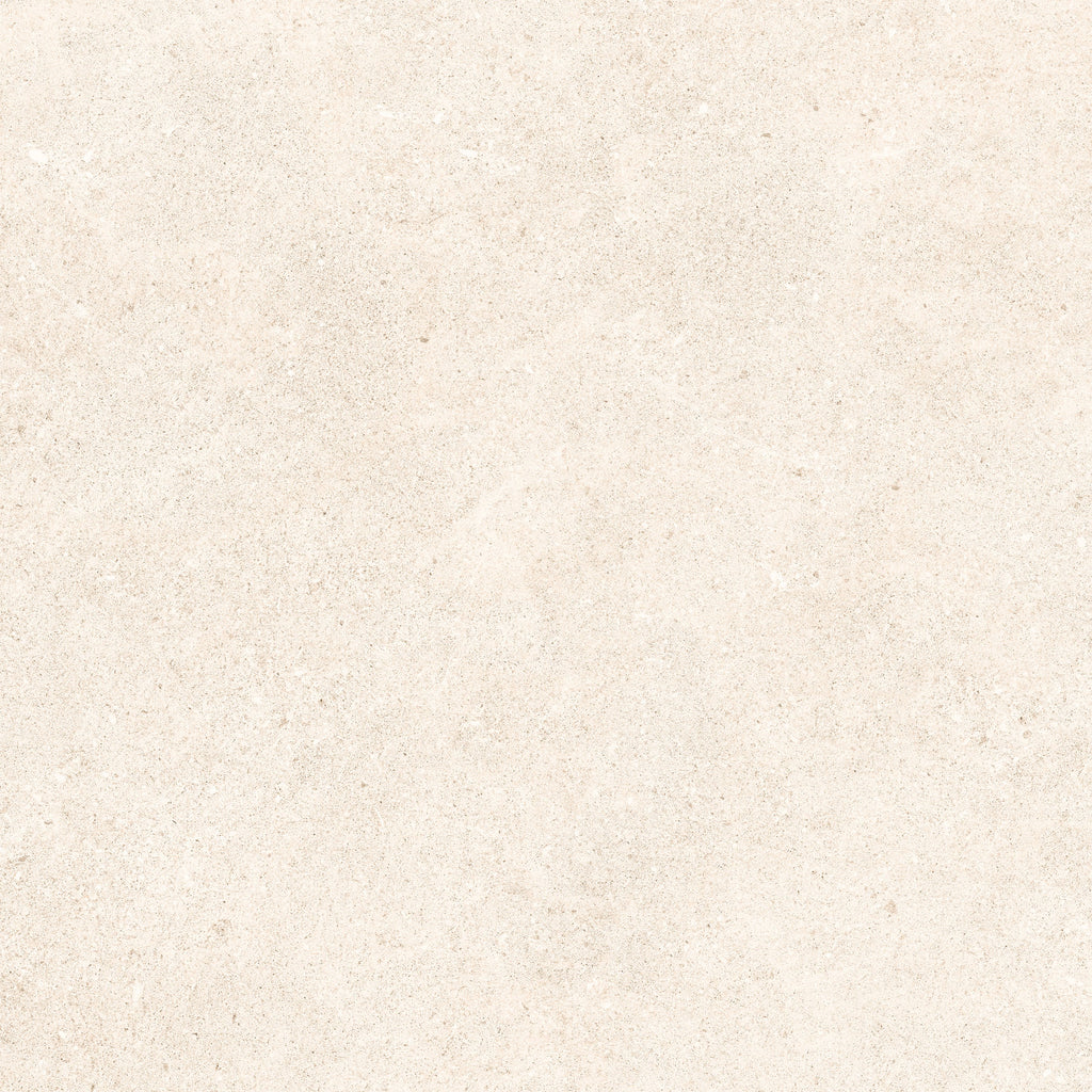 24"x48" Padova Bone 20MM R11 Rectified