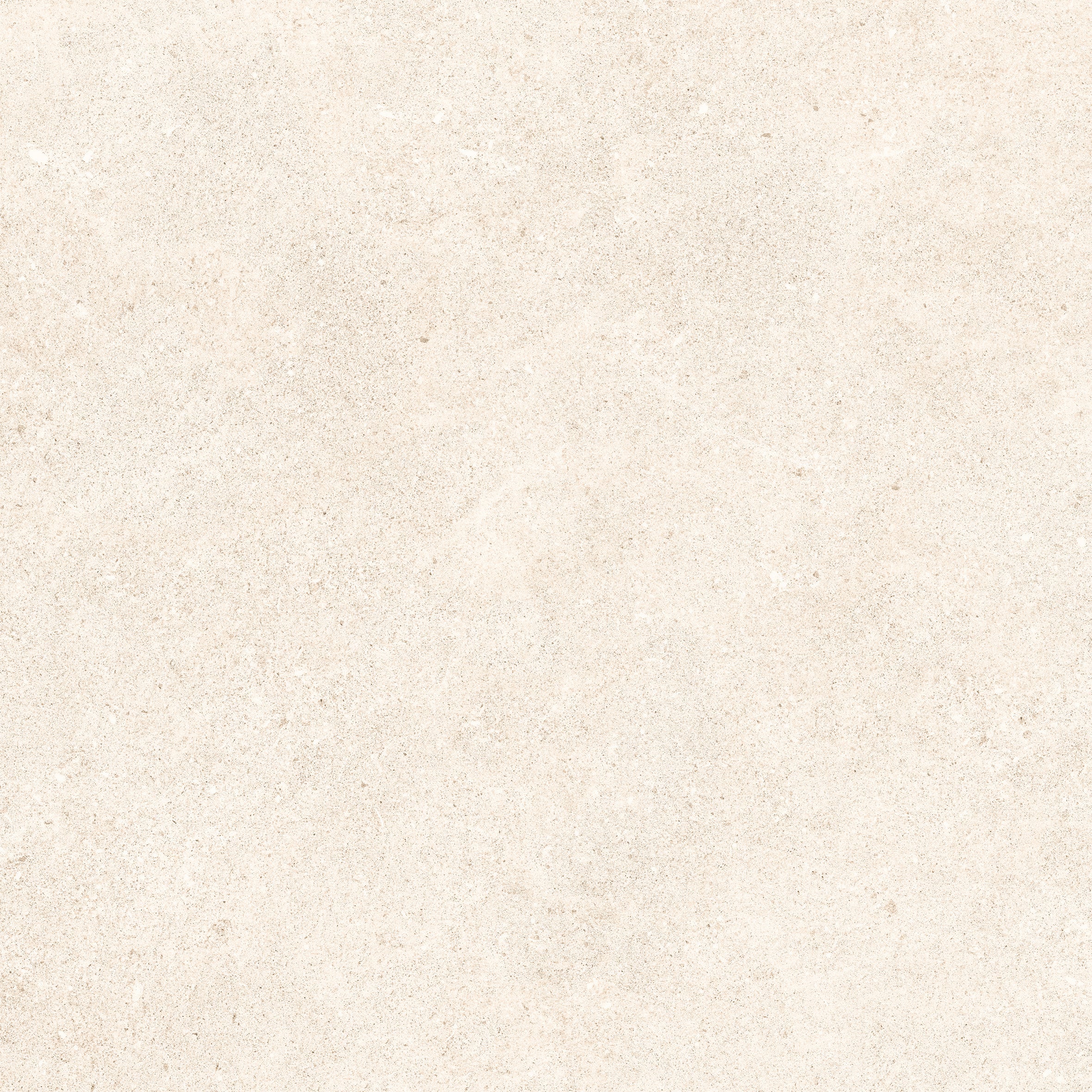 24"x48" Padova Bone 20MM R11 Rectified