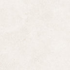 24"x36" Padova White 20MM R11 Rectified