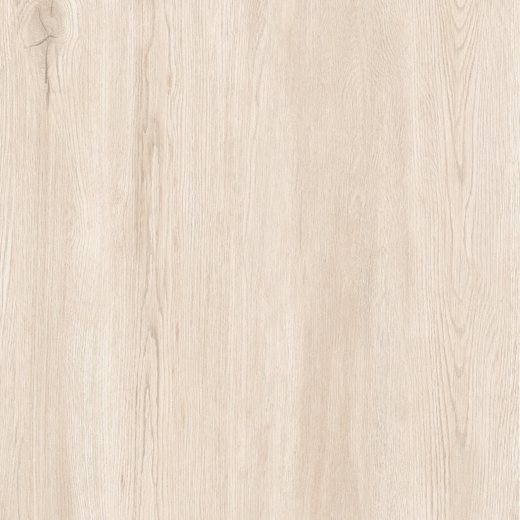 24"x24" Sakura Ivory 20MM R11 Rectified