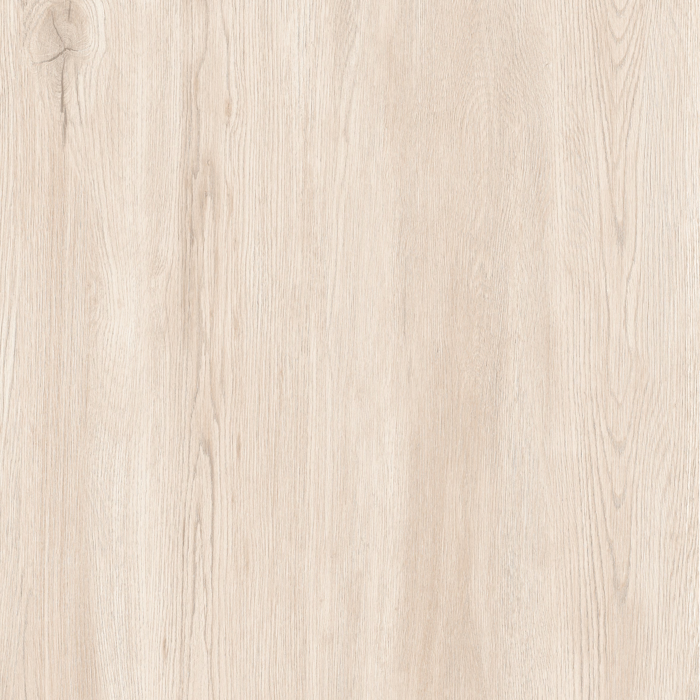24"x24" Sakura Ivory 20MM R11 Rectified