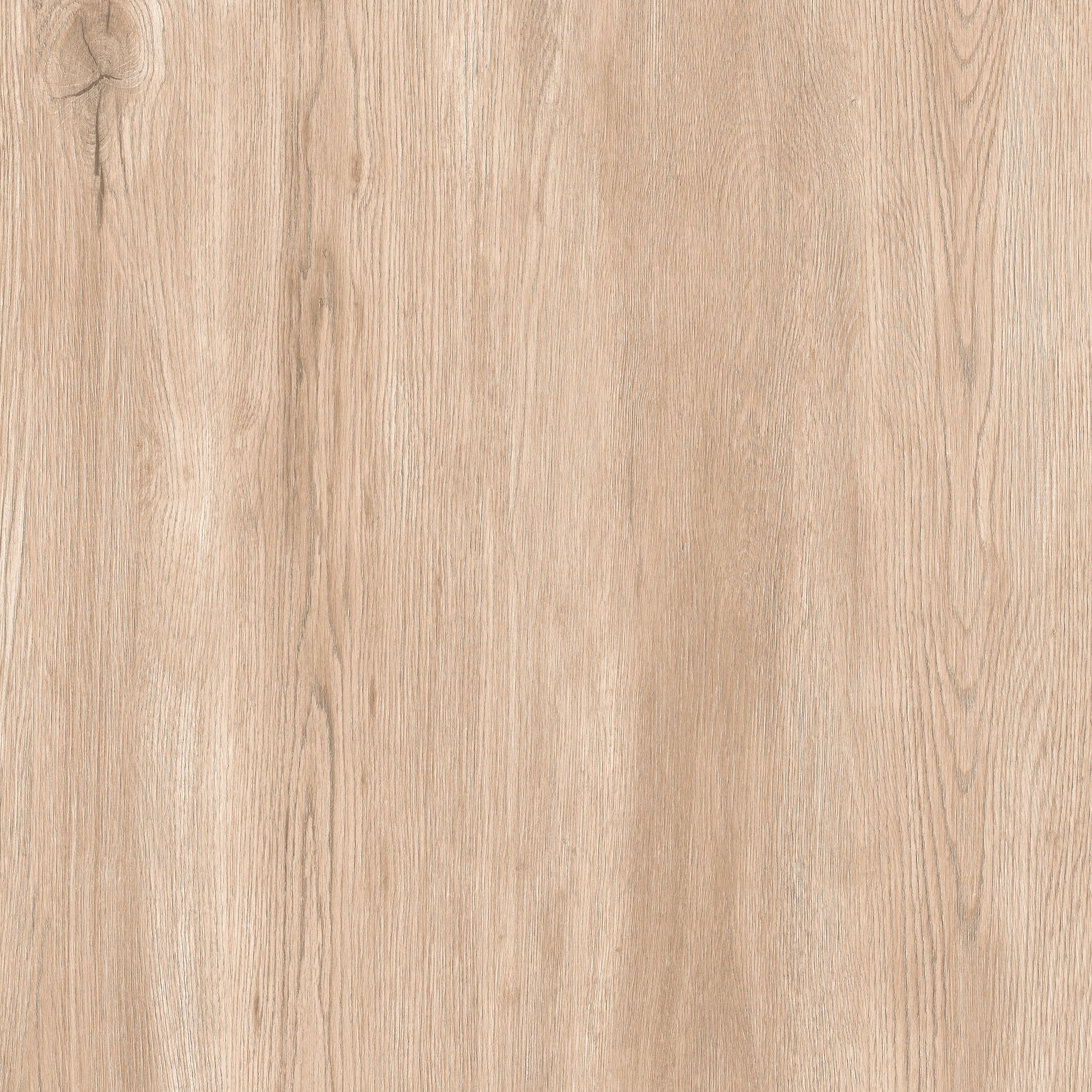 24"x24" Sakura Beige 20MM R11 Rectified